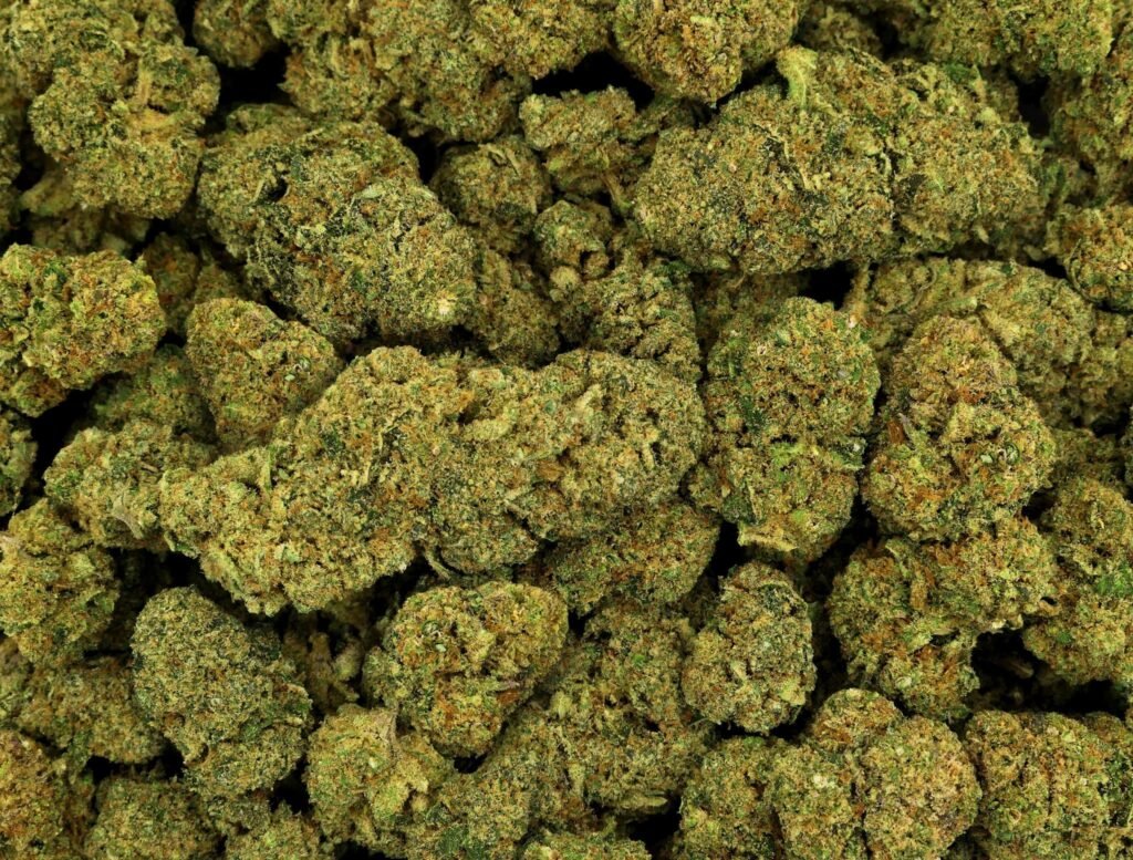 CALI-KUSH-1024x777 Buy cali kush online, cali kush for sale, buy cali kush near me, cali kush, order cali kush online, purchase cali kush online