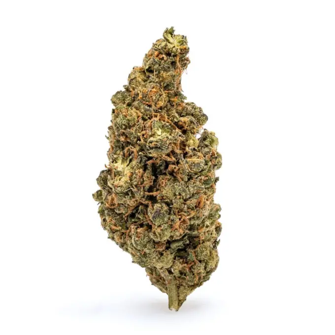 THCa-Flower-Amnesia-Haze-Bud--680x680 buy amnesia haze online, amnesia haze for sale, order amnesia haze online, amnesia haze near me, weed dispensary near me, Buy Amnesia Haze Europe.
